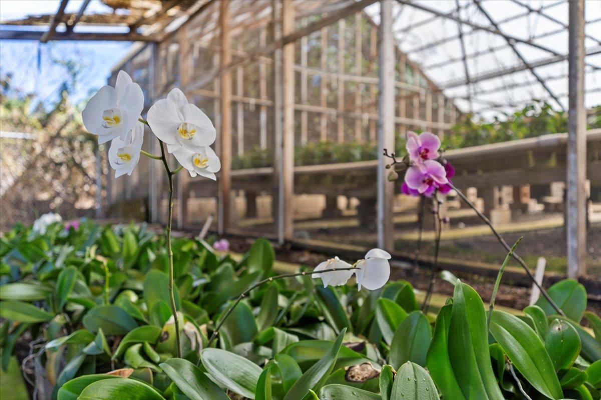 248  Piliwale Rd , Kula/Ulupalakua/Kanaio home - photo 8 of 22