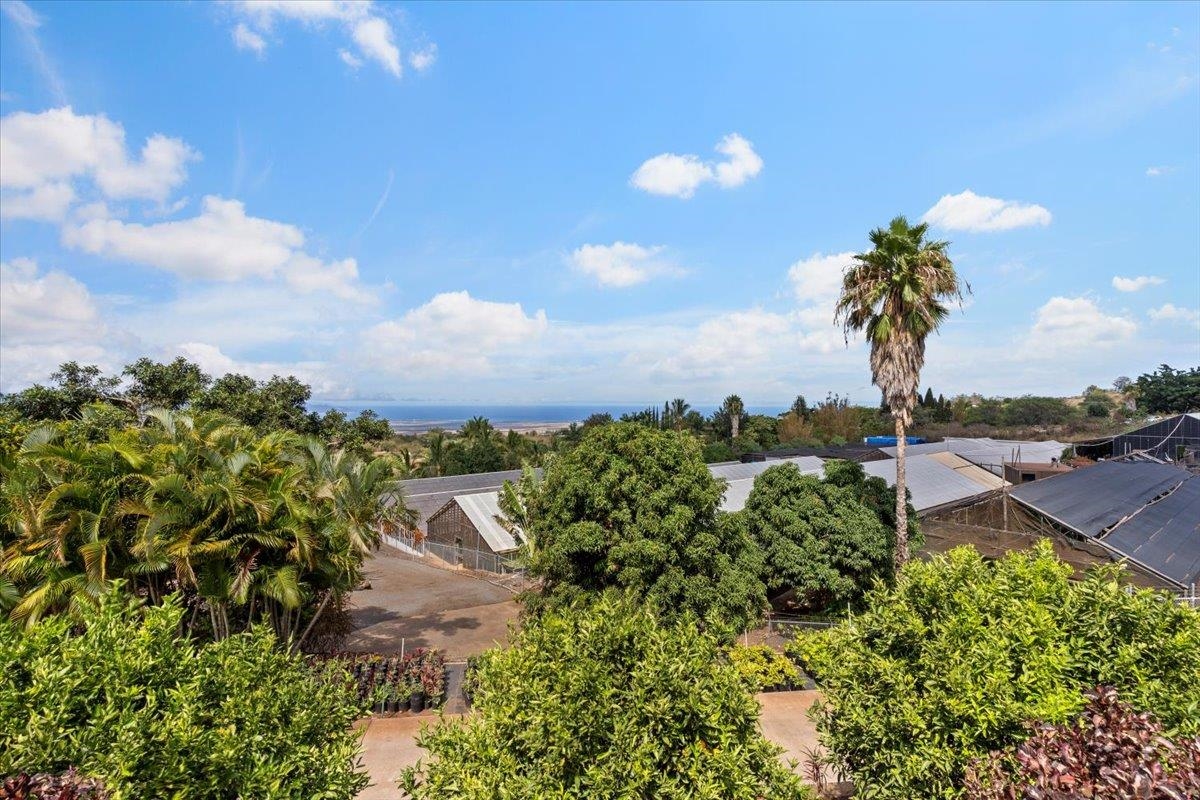 248  Piliwale Rd , Kula/Ulupalakua/Kanaio home - photo 10 of 22