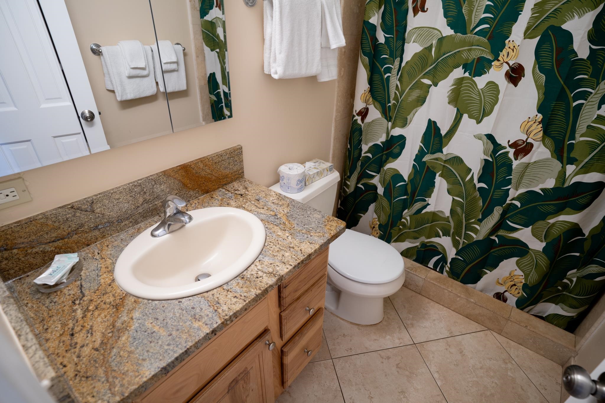 Hale Pau Hana condo # 507, Kihei, Hawaii - photo 29 of 46