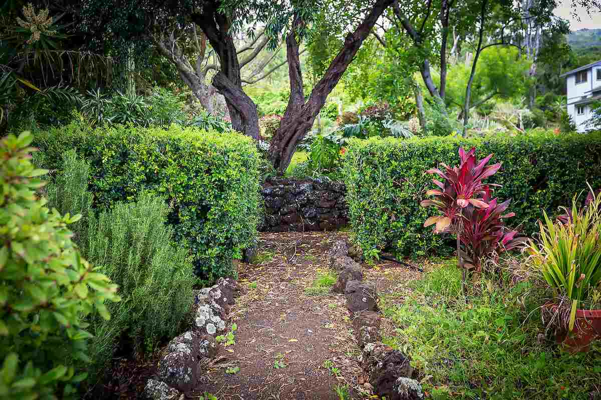 2480  Upper Kanaio Rd Kanaio Homestead, Kula/Ulupalakua/Kanaio home - photo 19 of 22