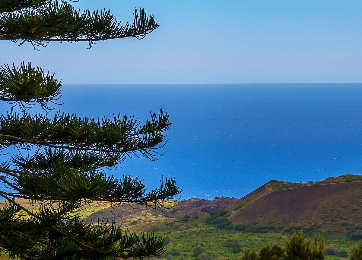 2480  Upper Kanaio Rd Kanaio Homestead, Kula/Ulupalakua/Kanaio home - photo 20 of 22