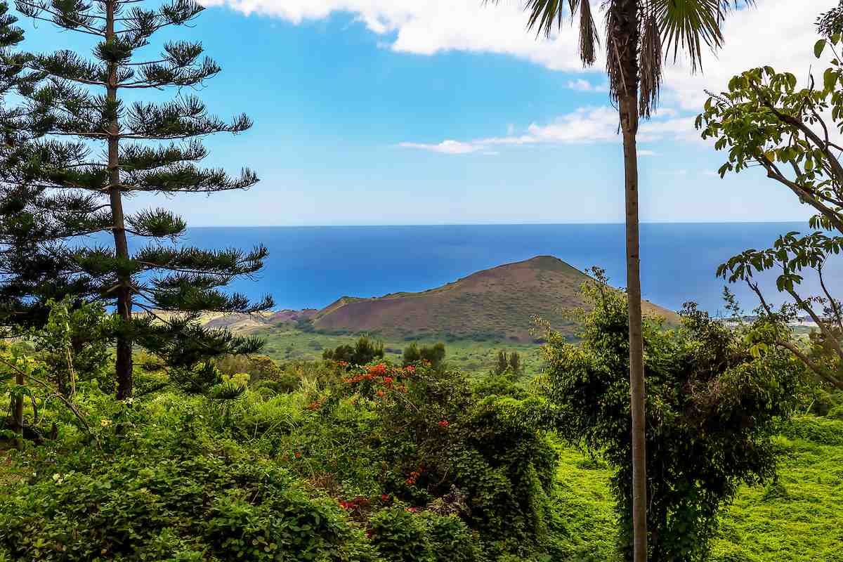 2480  Upper Kanaio Rd Kanaio Homestead, Kula/Ulupalakua/Kanaio home - photo 21 of 22