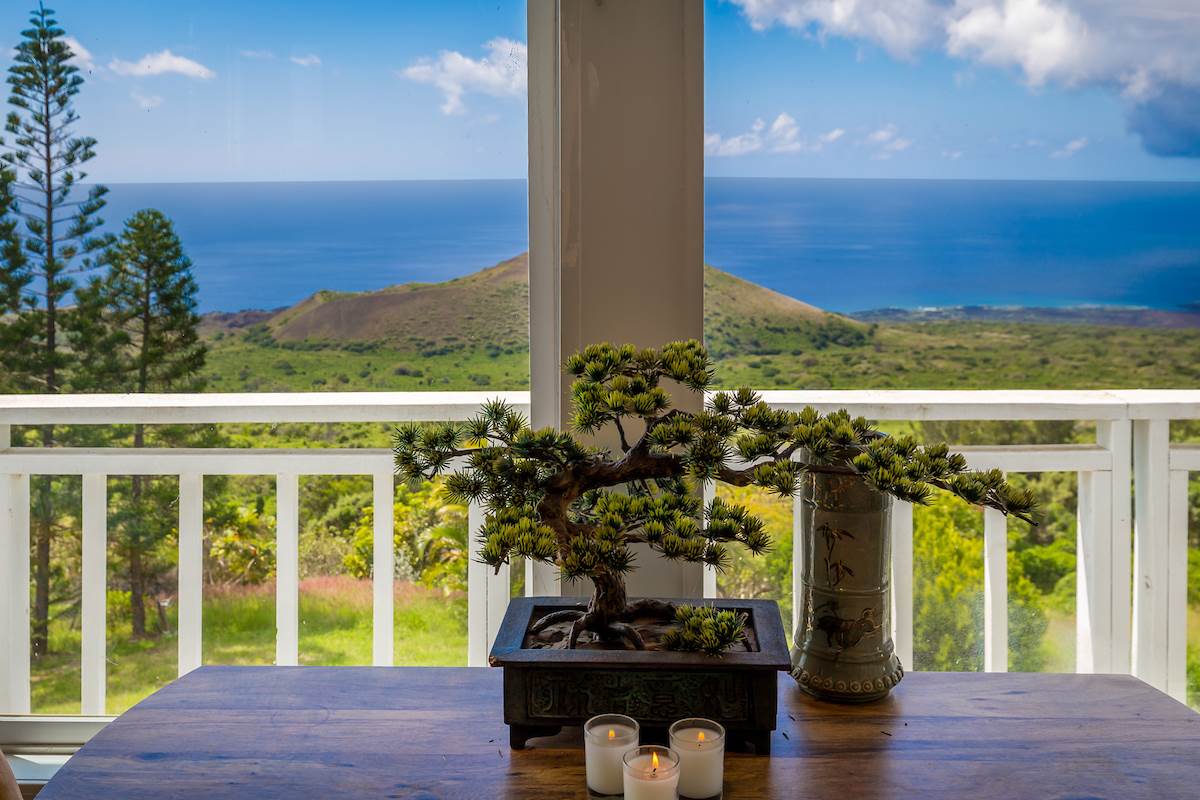 2480  Upper Kanaio Rd Kanaio Homestead, Kula/Ulupalakua/Kanaio home - photo 7 of 22