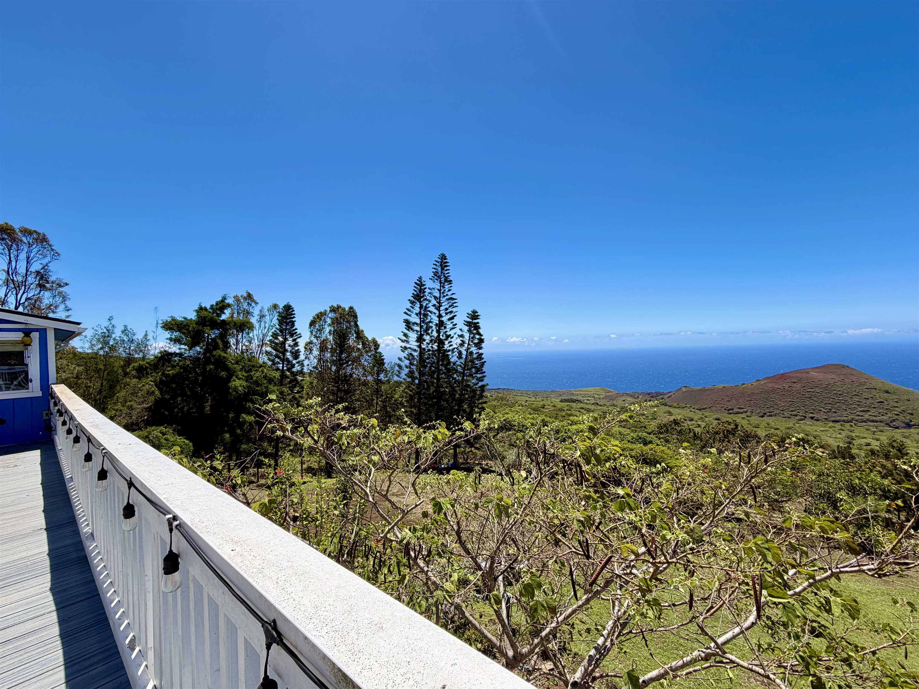 2480  Upper Kanaio Rd Kanaio, Kula/Ulupalakua/Kanaio home - photo 19 of 50