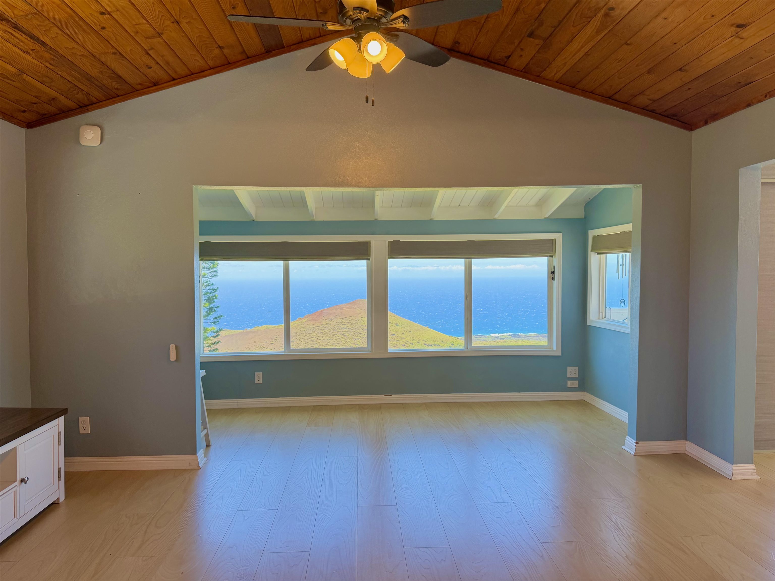 2480  Upper Kanaio Rd Kanaio, Kula/Ulupalakua/Kanaio home - photo 6 of 50
