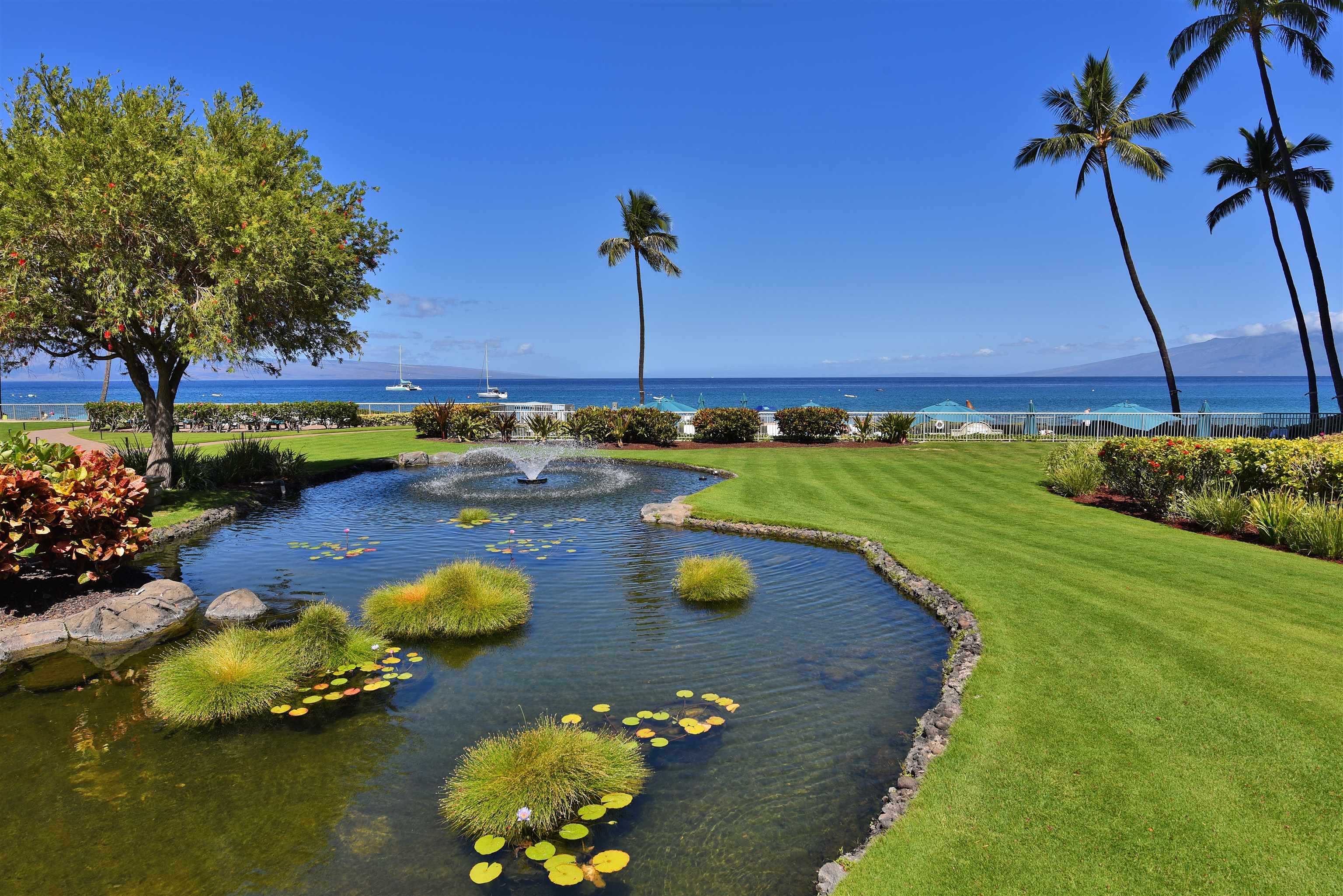 Whaler I condo # 109, Lahaina, Hawaii - photo 41 of 50