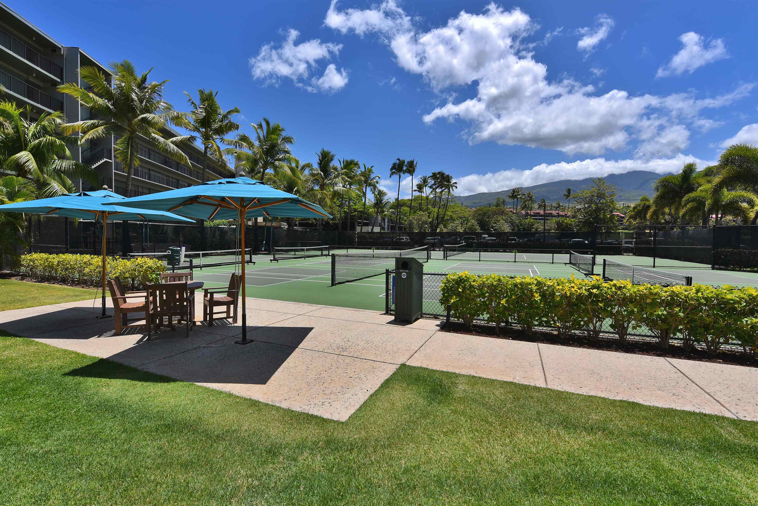Whaler I condo # 109, Lahaina, Hawaii - photo 46 of 50