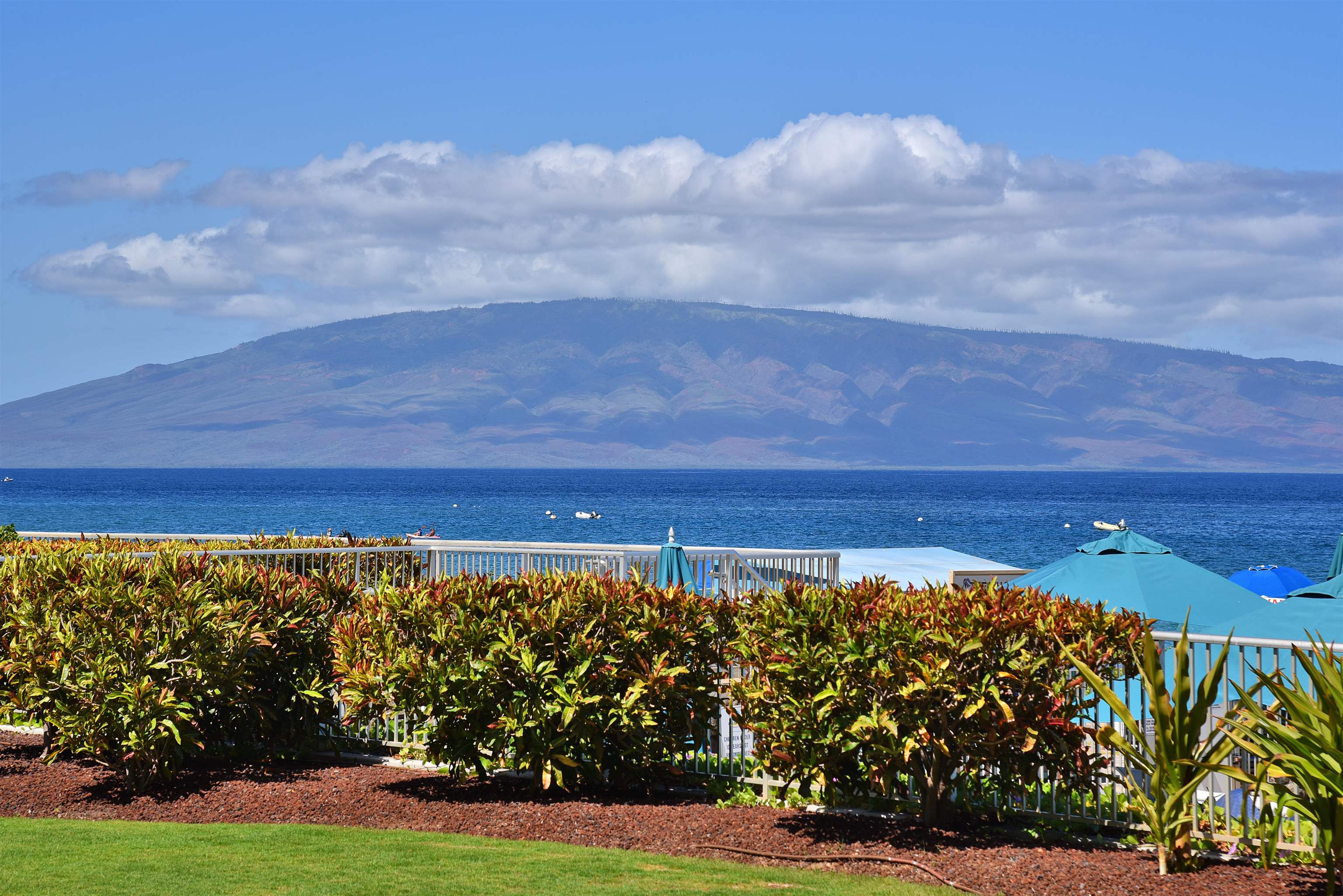 Whaler I condo # 109, Lahaina, Hawaii - photo 9 of 50