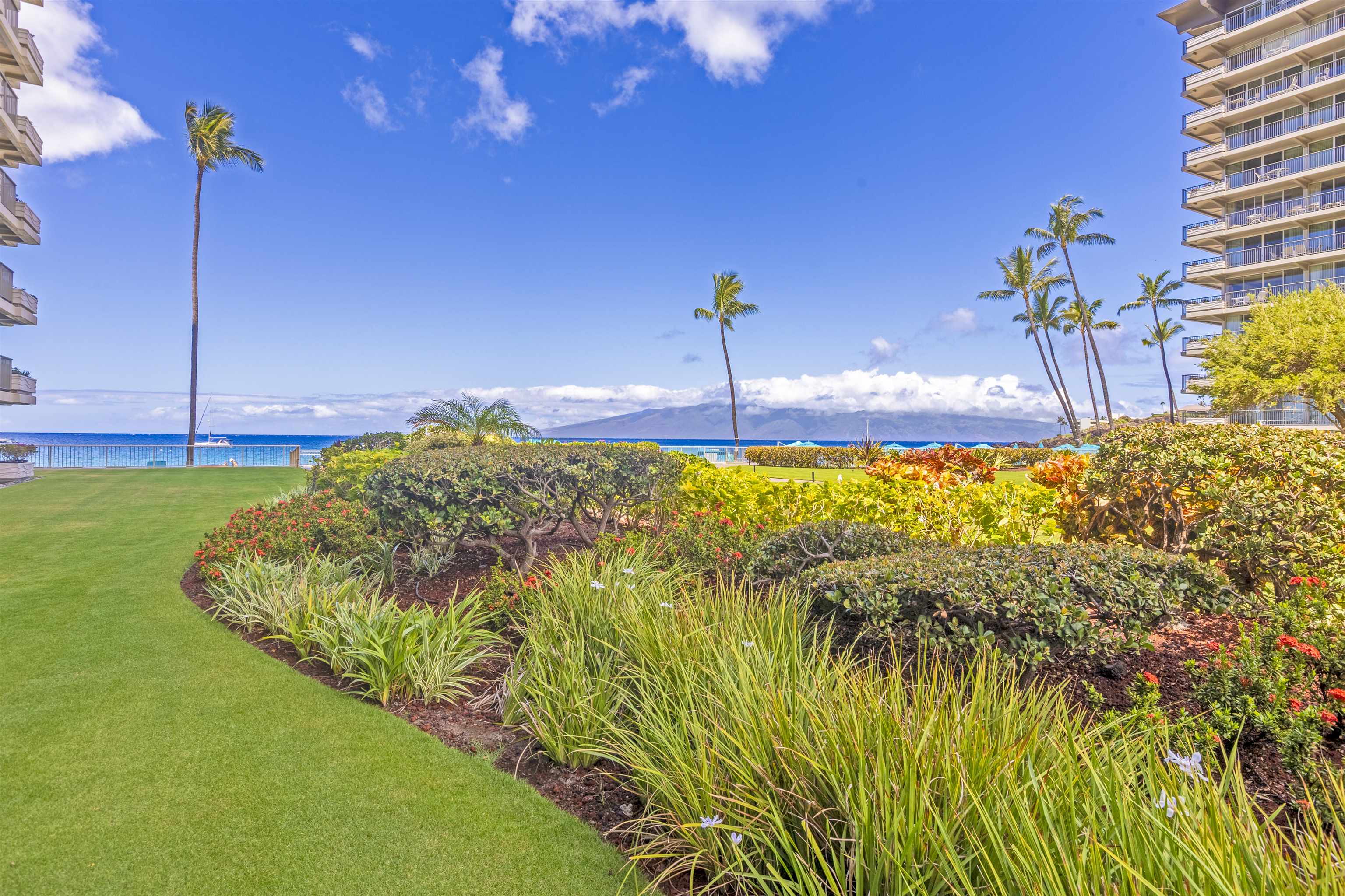 Whaler II condo # 162, Lahaina, Hawaii - photo 33 of 42
