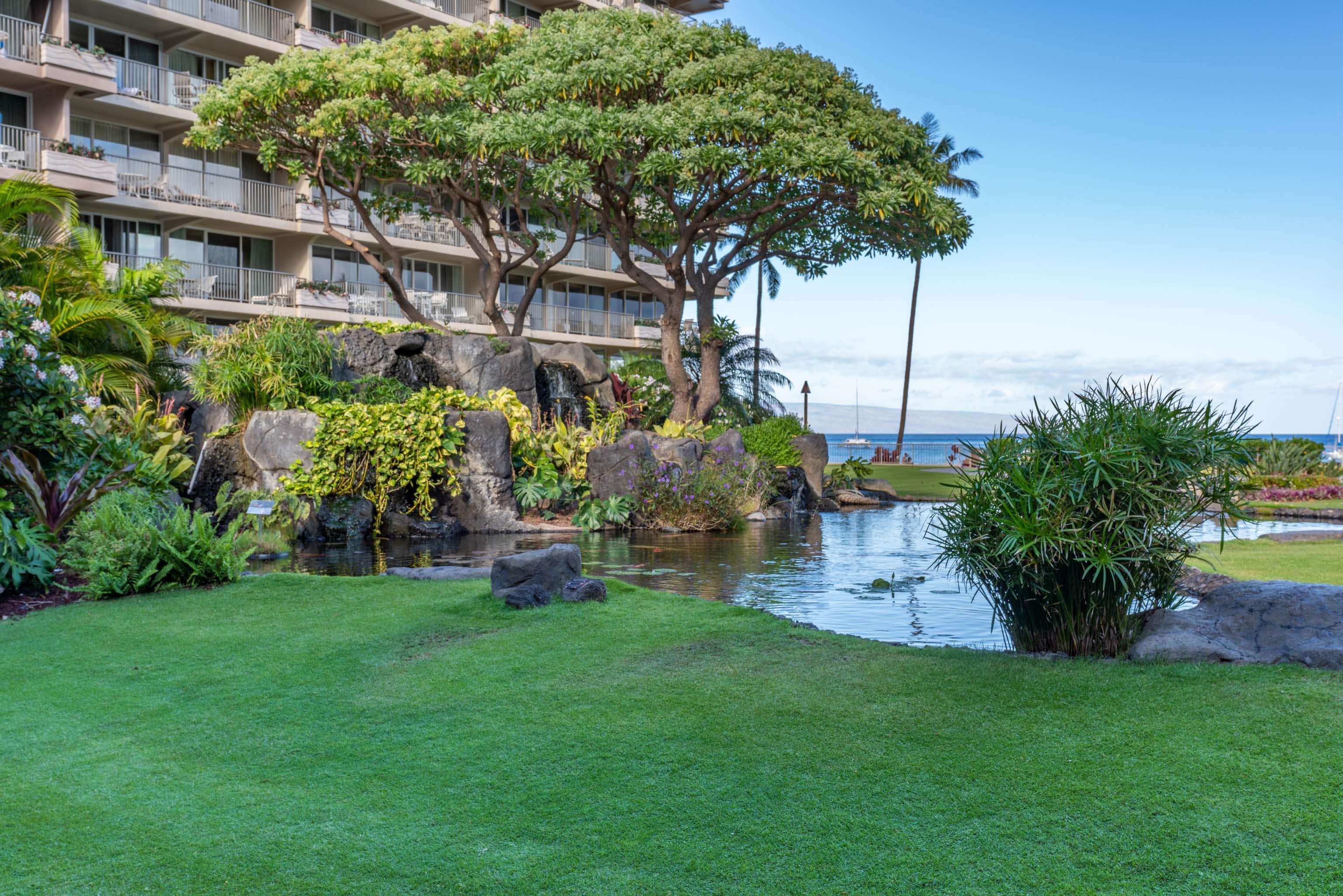 Whaler I condo # 212, Lahaina, Hawaii - photo 35 of 38