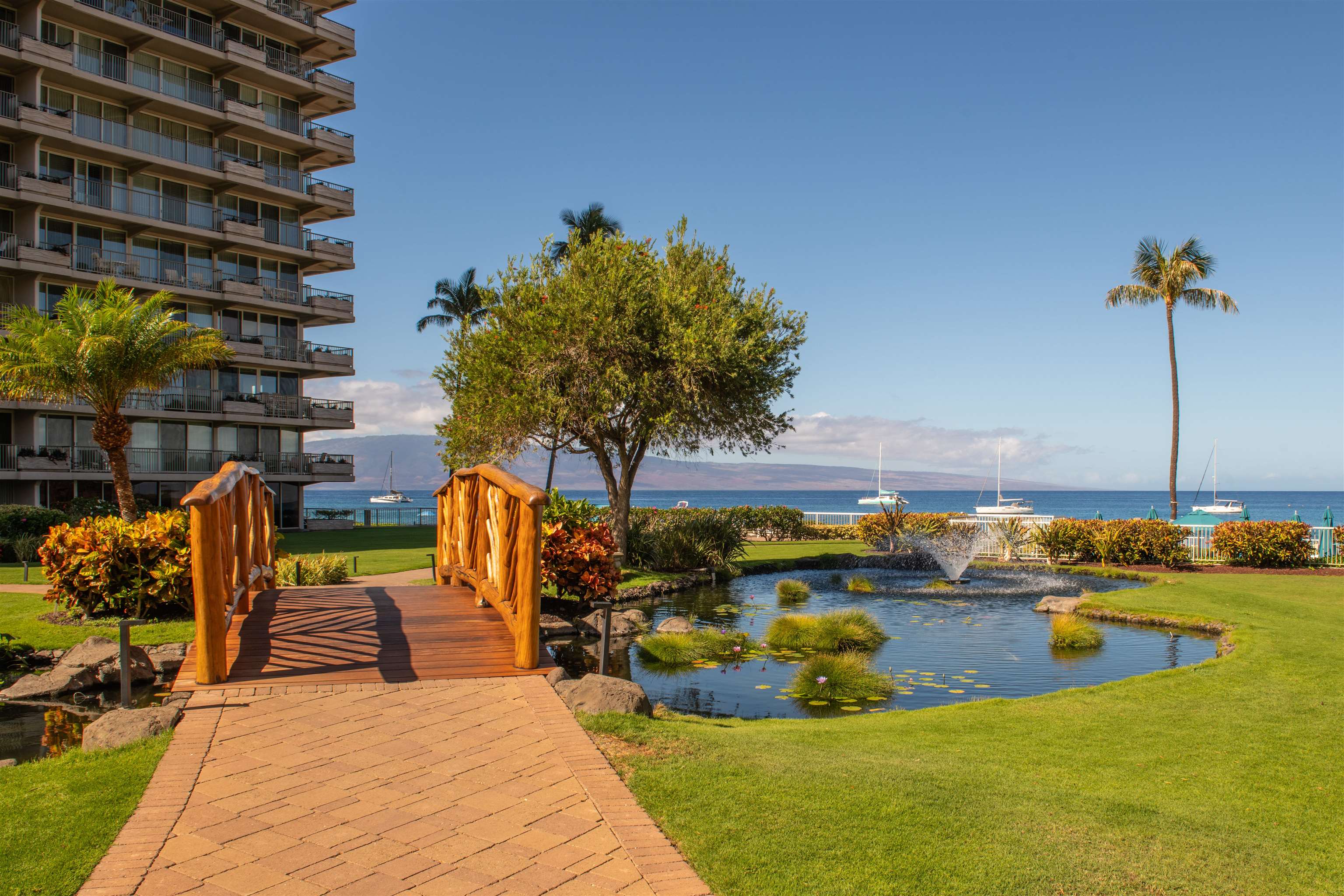 Whaler II condo # 256, Lahaina, Hawaii - photo 30 of 50