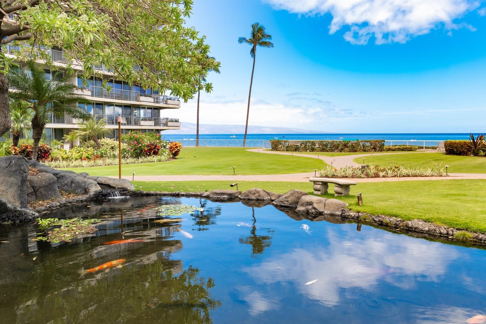 Whaler I condo # 257, Lahaina, Hawaii - photo 30 of 35