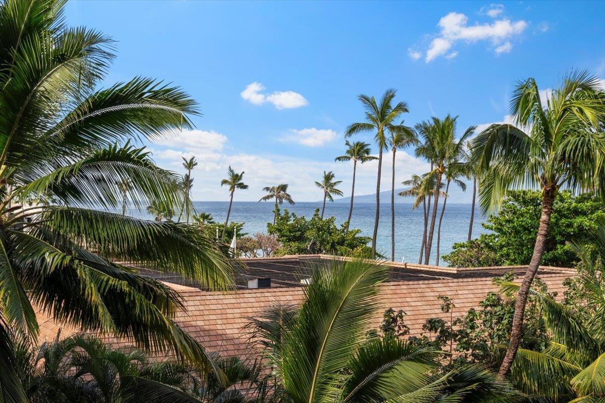 Whaler II condo # 459, Lahaina, Hawaii - photo 35 of 50
