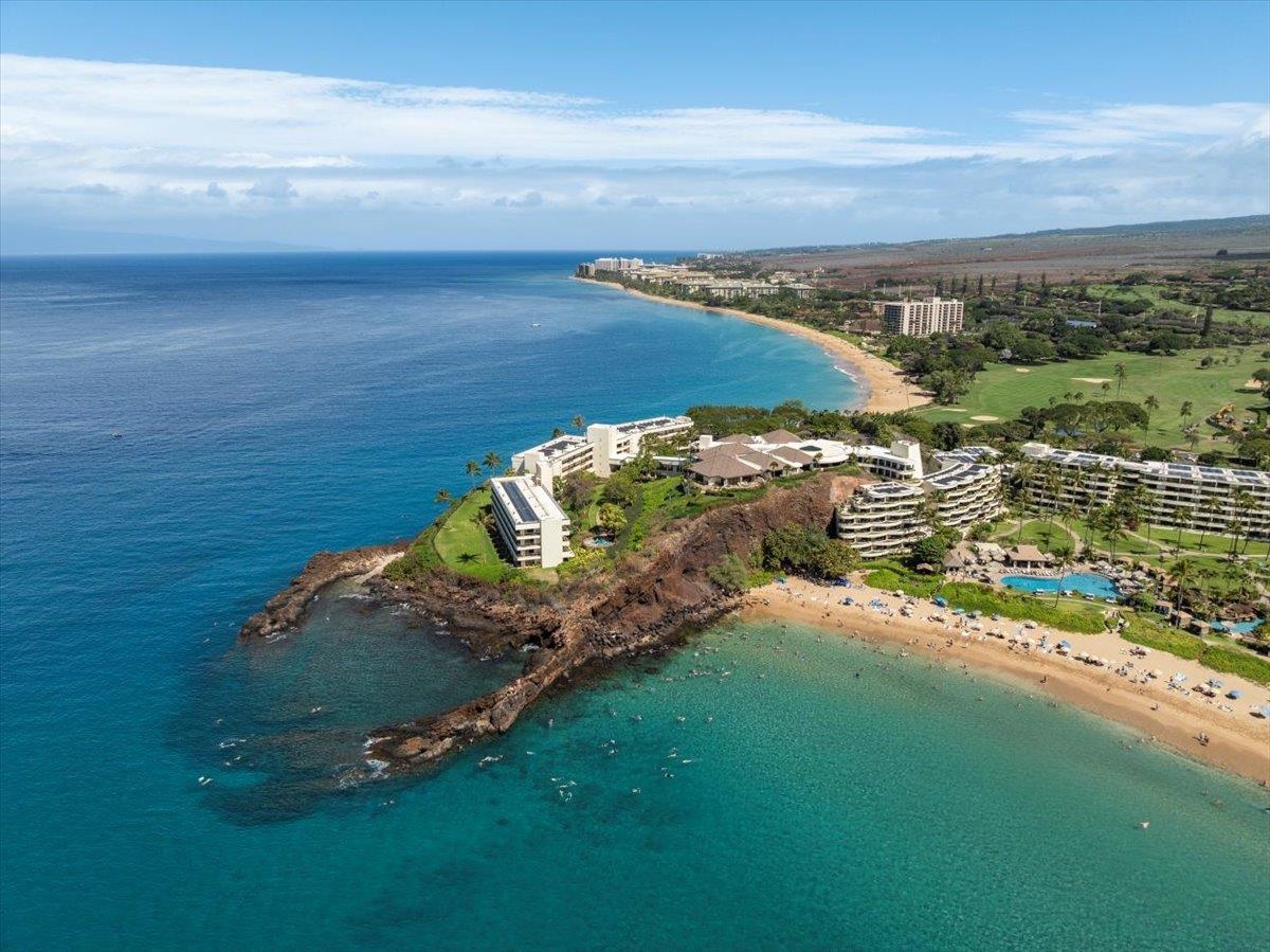Whaler II condo # 459, Lahaina, Hawaii - photo 41 of 50
