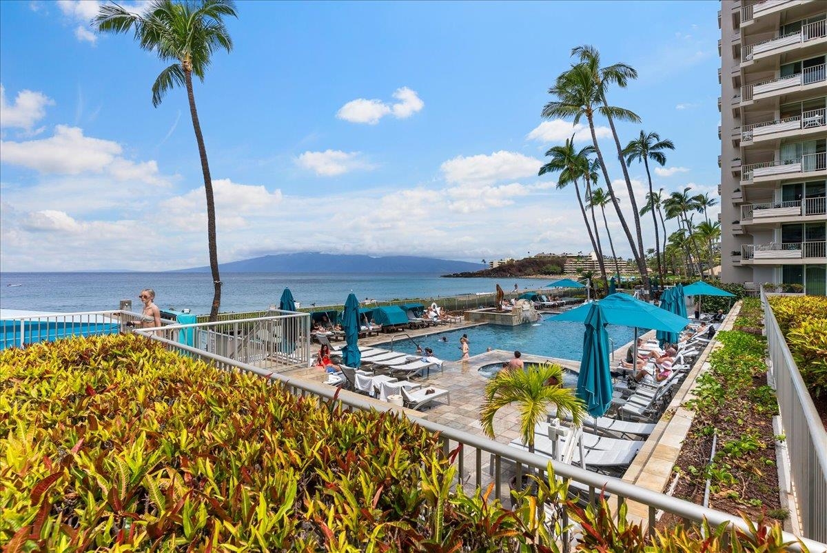 Whaler II condo # 459, Lahaina, Hawaii - photo 44 of 50