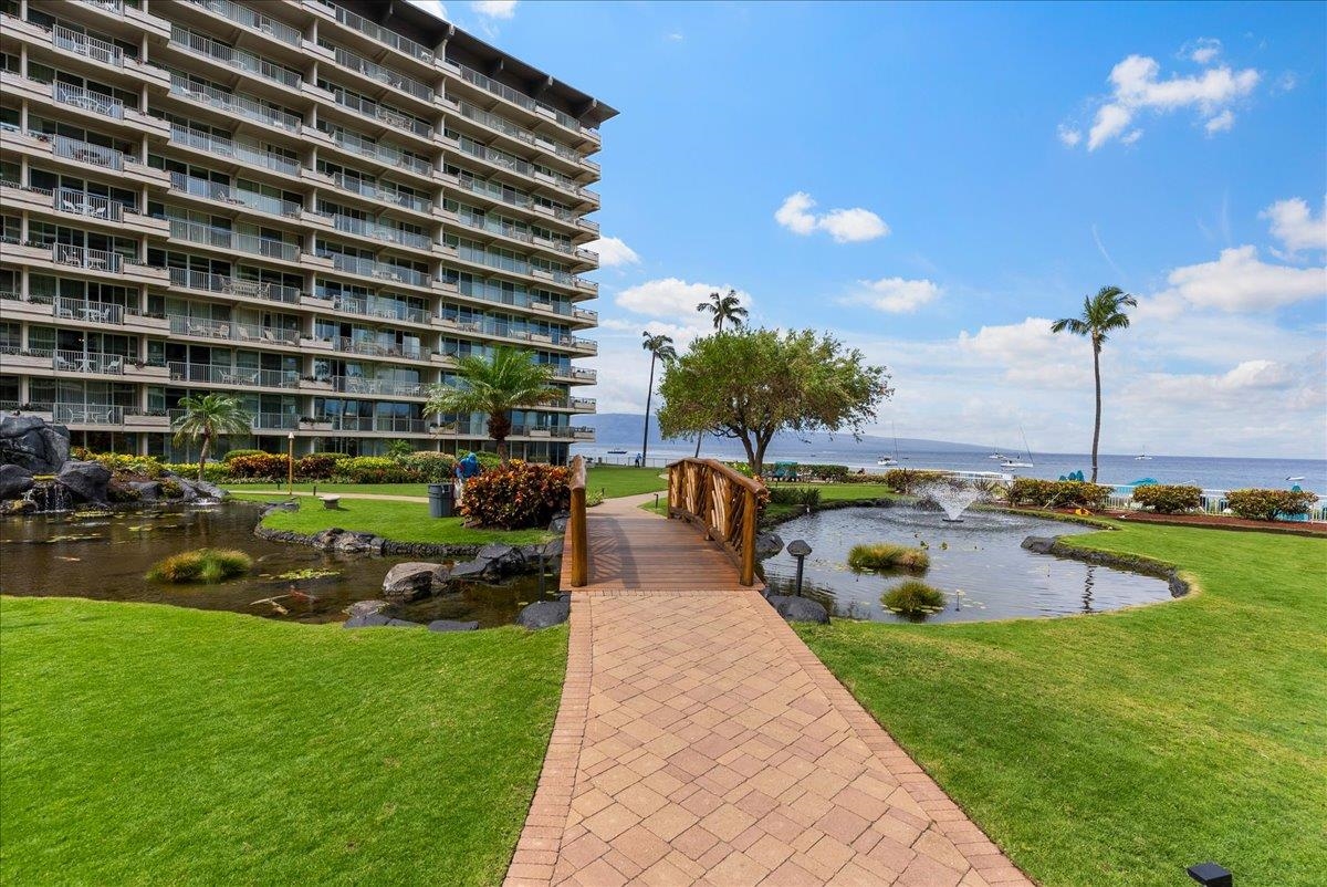 Whaler II condo # 459, Lahaina, Hawaii - photo 47 of 50