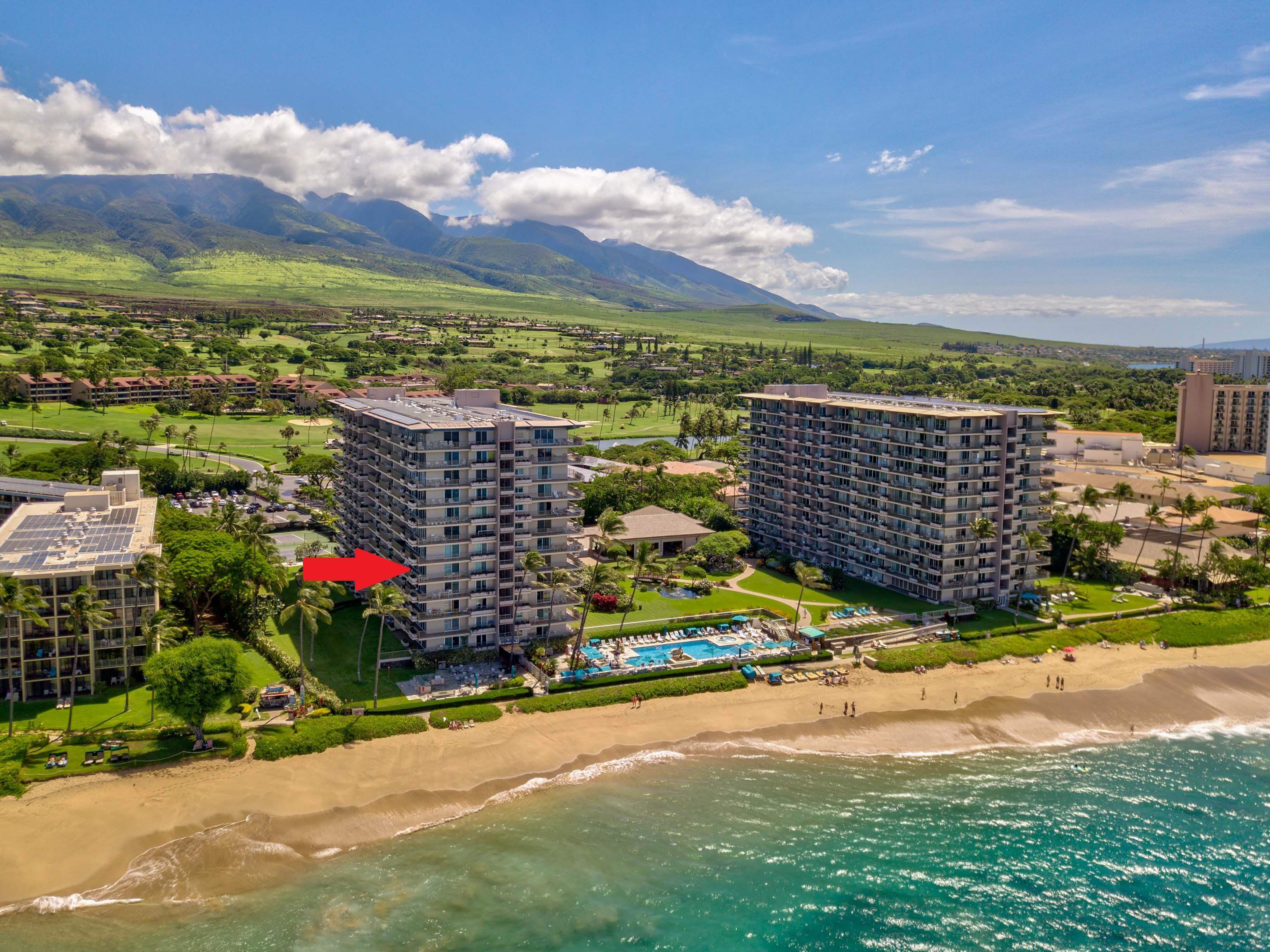 Whaler I condo # 502, Lahaina, Hawaii - photo 30 of 30