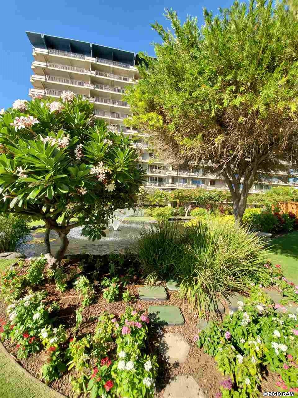 Whaler I condo # 513, Lahaina, Hawaii - photo 25 of 29