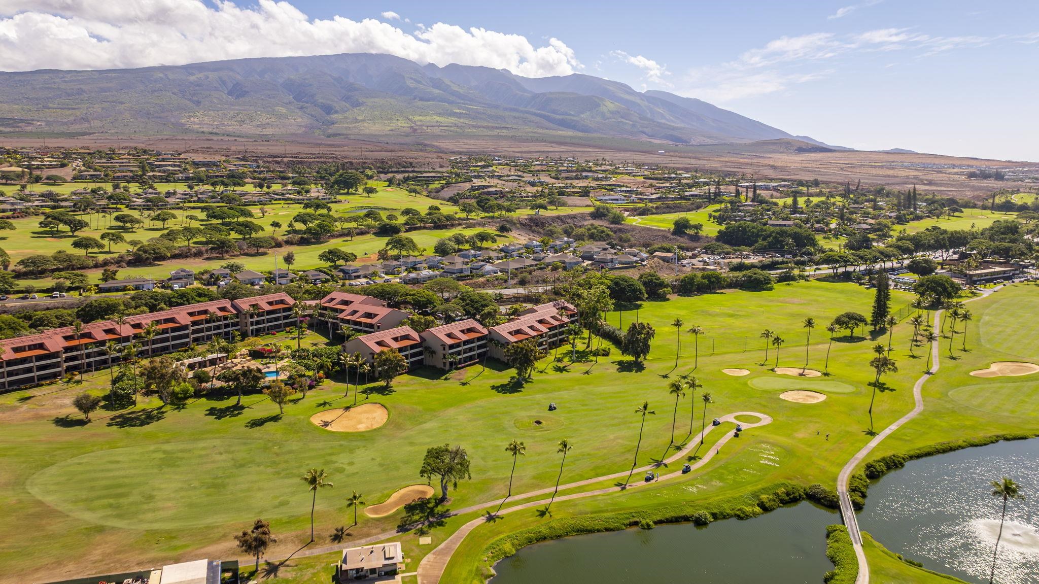 Whaler I condo # 905, Lahaina, Hawaii - photo 42 of 45
