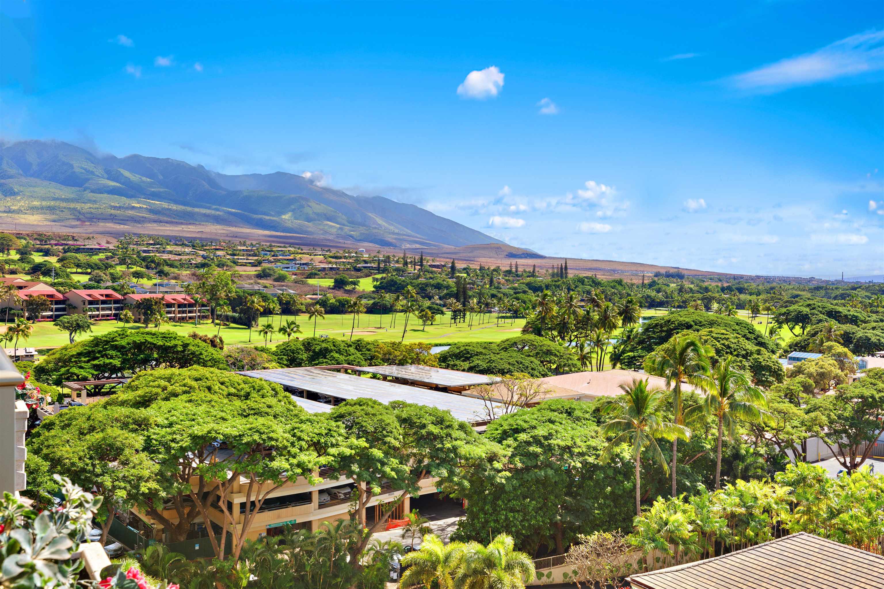 Whaler I condo # 913, Lahaina, Hawaii - photo 18 of 21