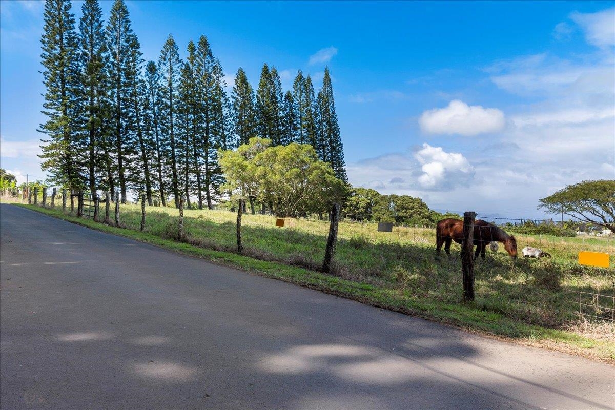 2481  Liliko'i Rd , Haiku home - photo 42 of 45