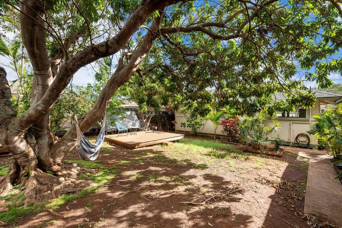 249  Kanoa St , Wailuku home - photo 22 of 24