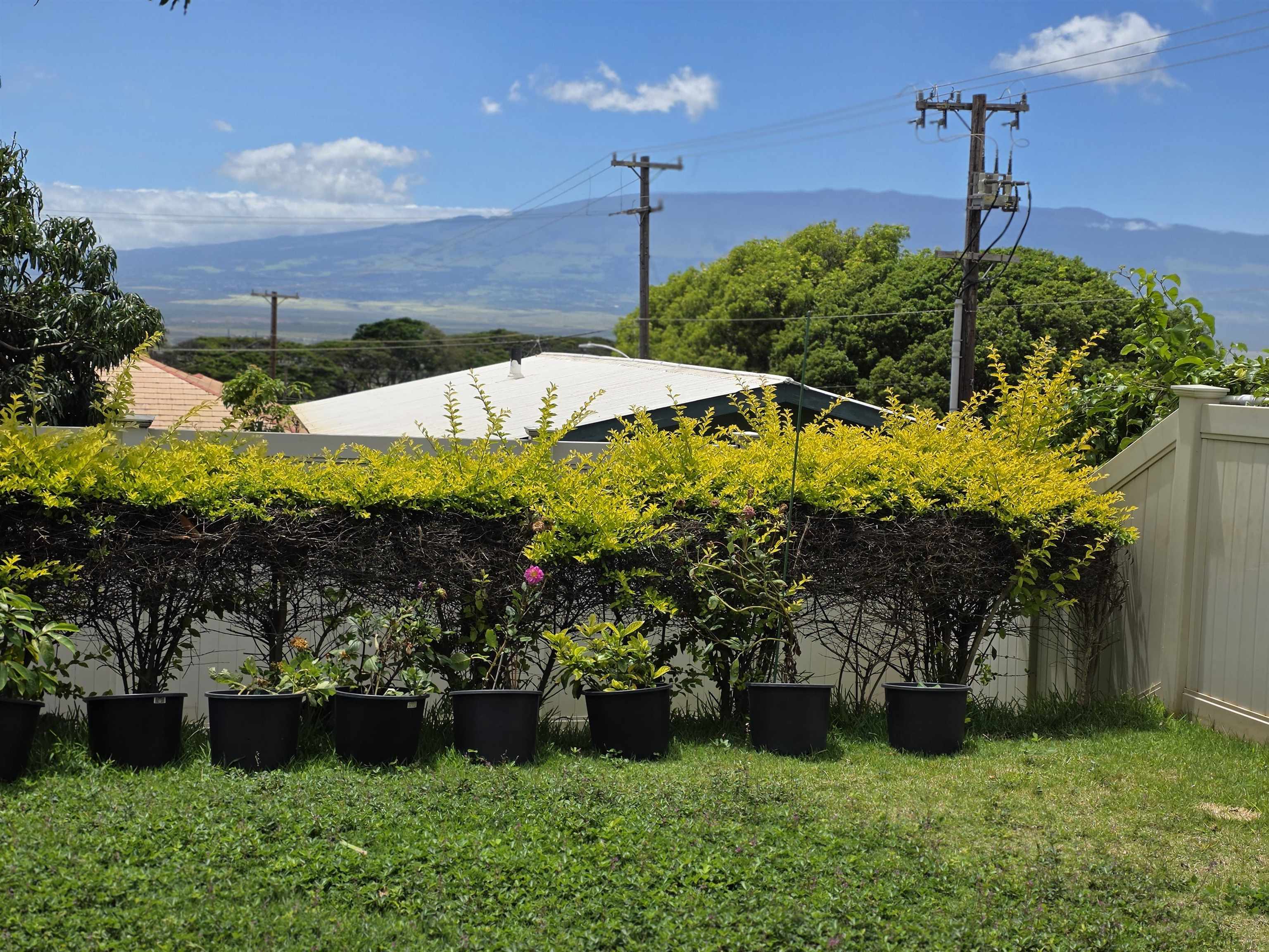 Milo Court at Kehalani condo # 51, Wailuku, Hawaii - photo 13 of 15