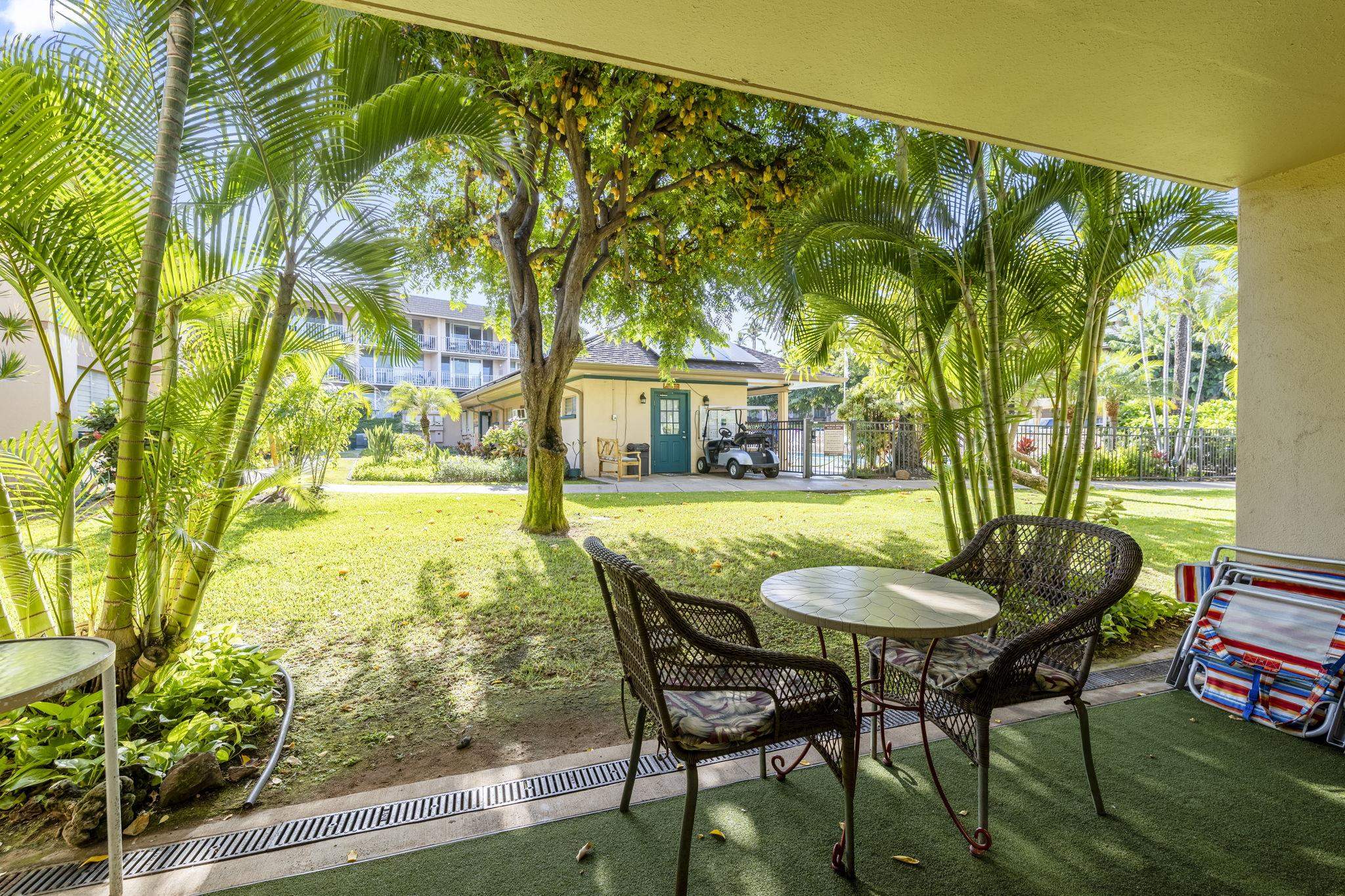 Kihei Kai Nani condo # 120, Kihei, Hawaii - photo 22 of 40