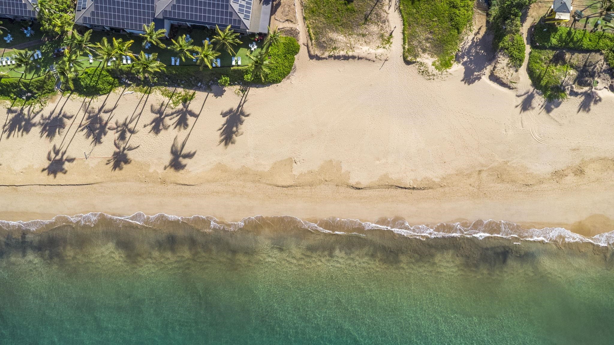 Kihei Kai Nani condo # 120, Kihei, Hawaii - photo 35 of 40