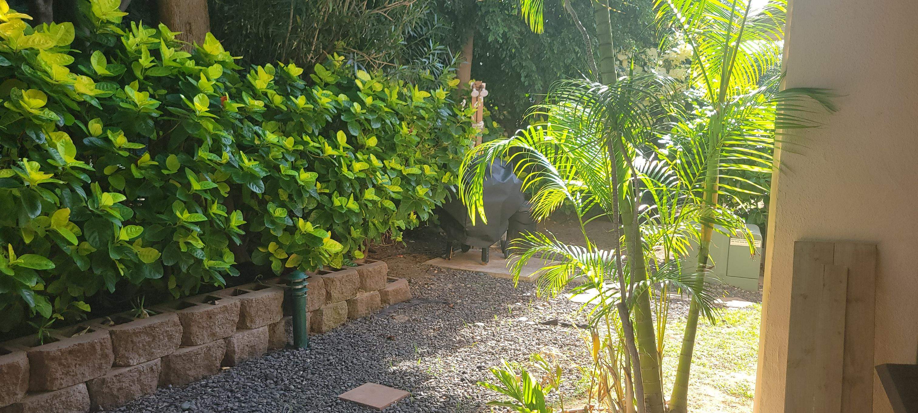 Kihei Kai Nani condo # 132, Kihei, Hawaii - photo 13 of 35