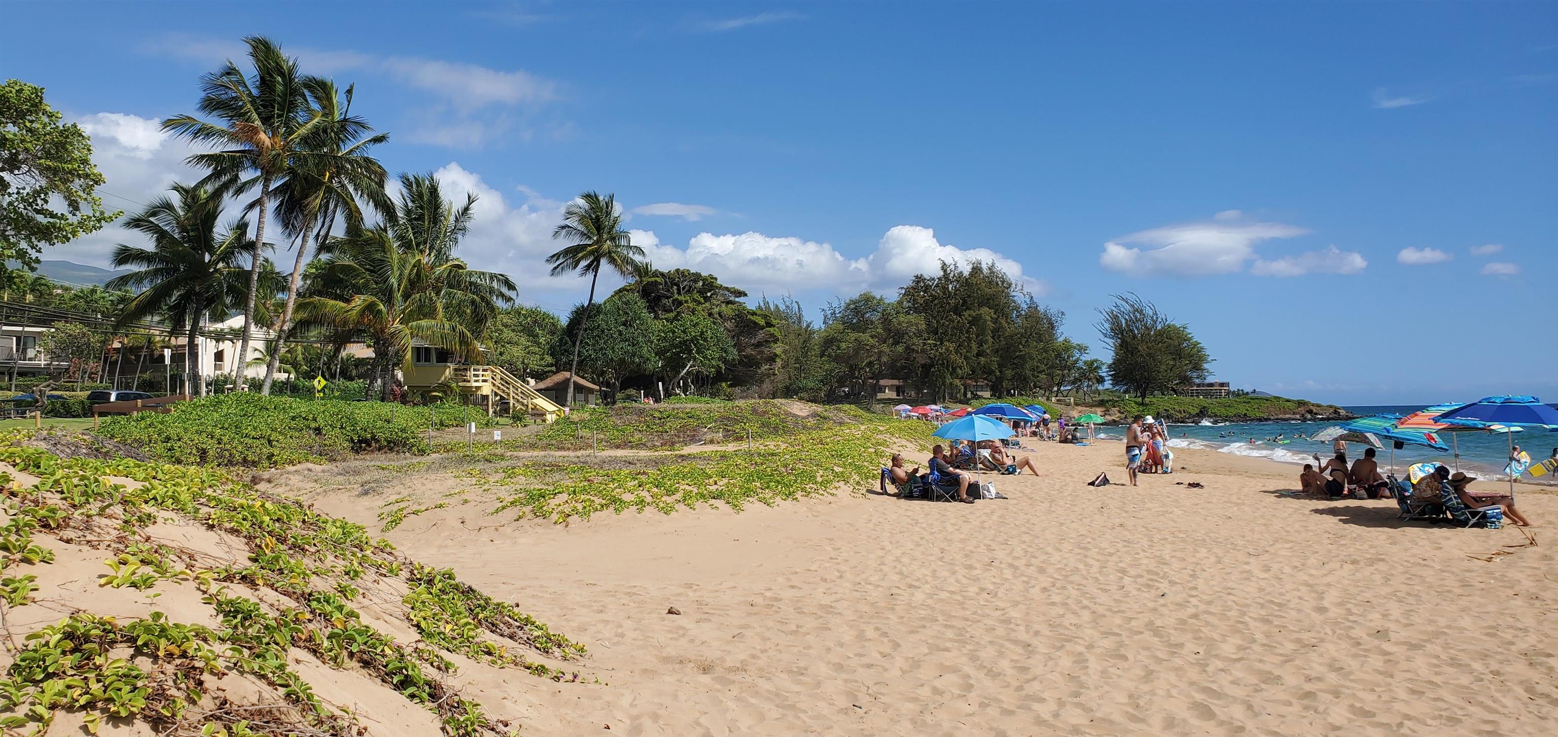 Kihei Kai Nani condo # 132, Kihei, Hawaii - photo 30 of 35