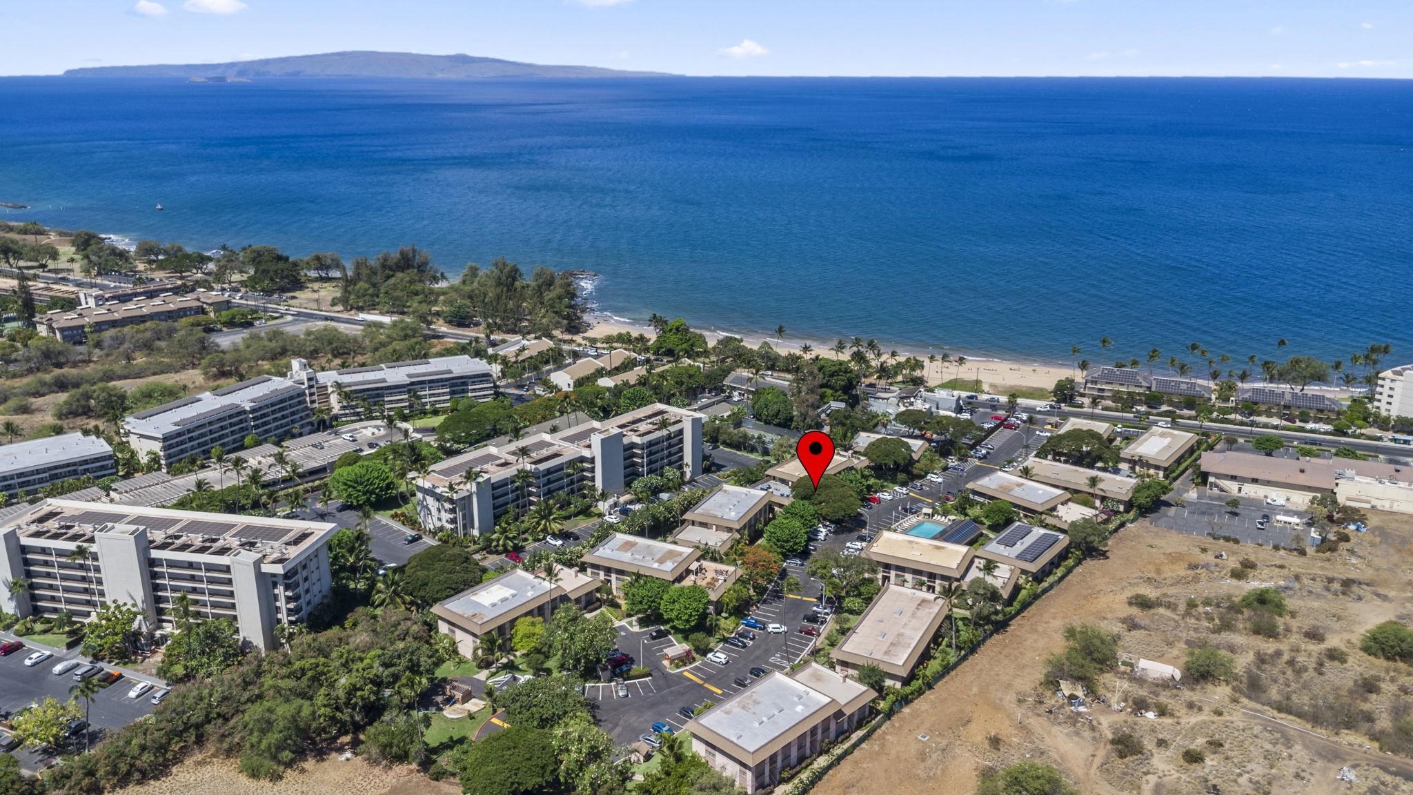 Kihei Kai Nani condo # 137, Kihei, Hawaii - photo 4 of 45