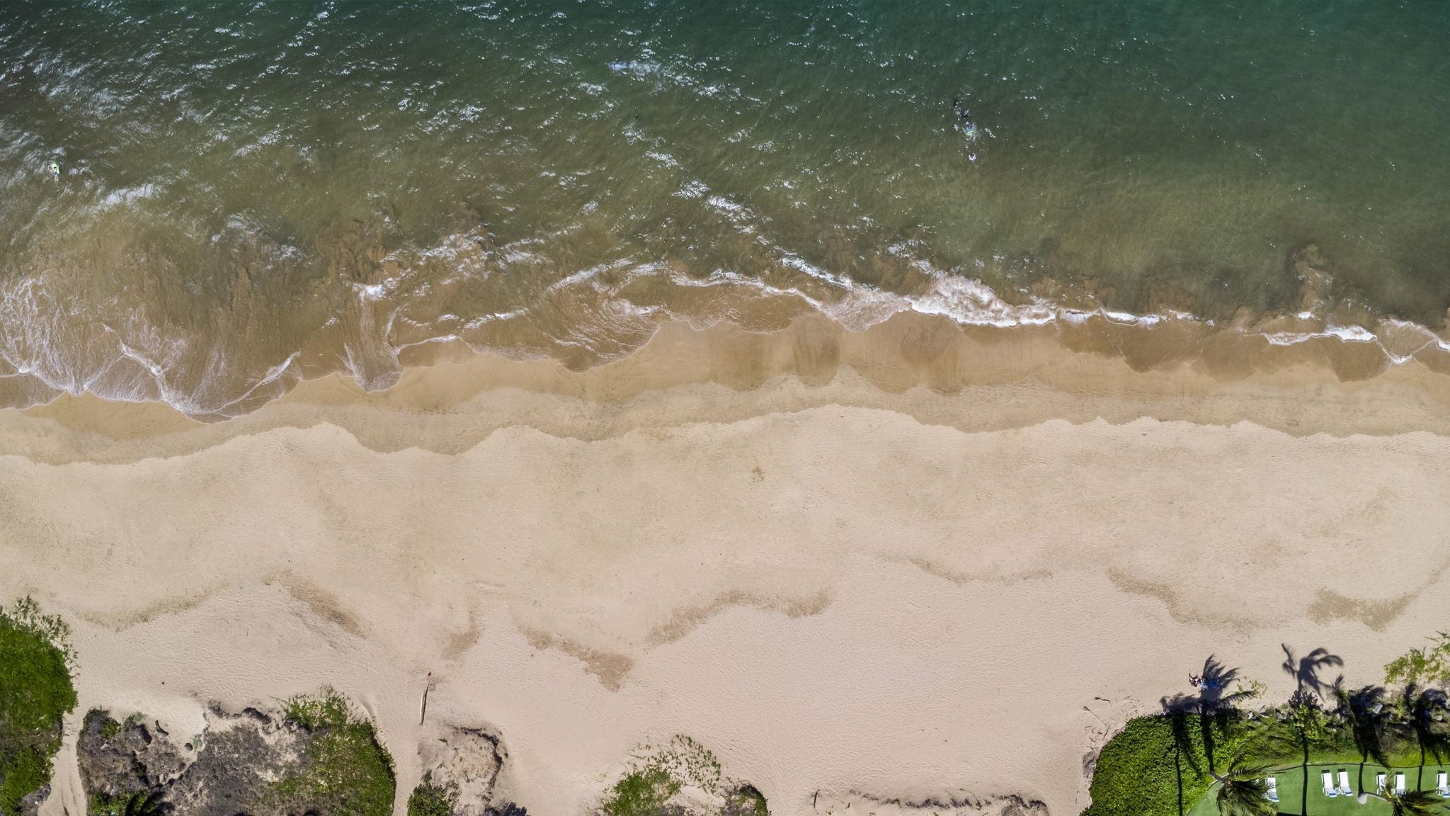 Kihei Kai Nani condo # 137, Kihei, Hawaii - photo 31 of 45