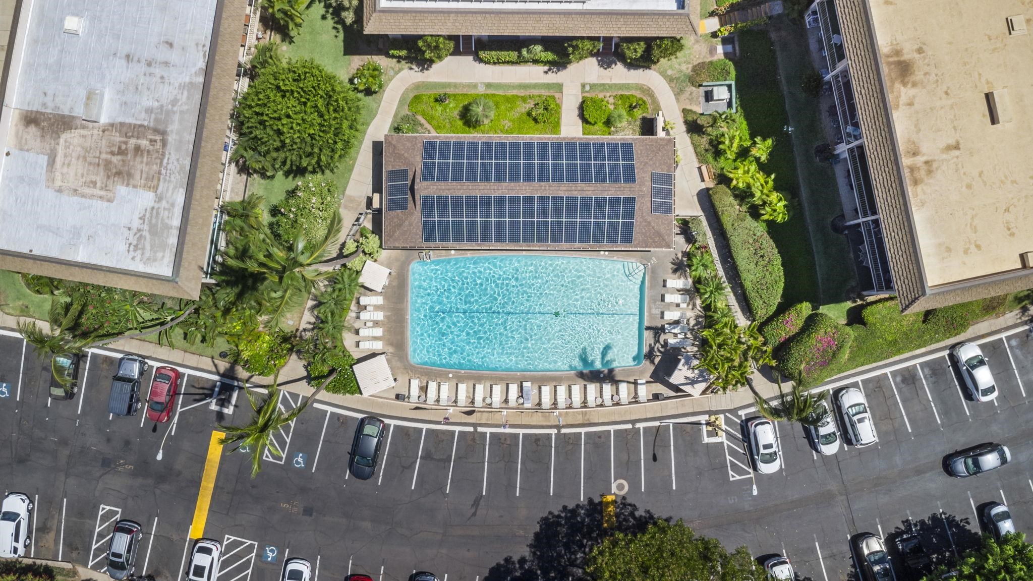 Kihei Kai Nani condo # 137, Kihei, Hawaii - photo 32 of 45