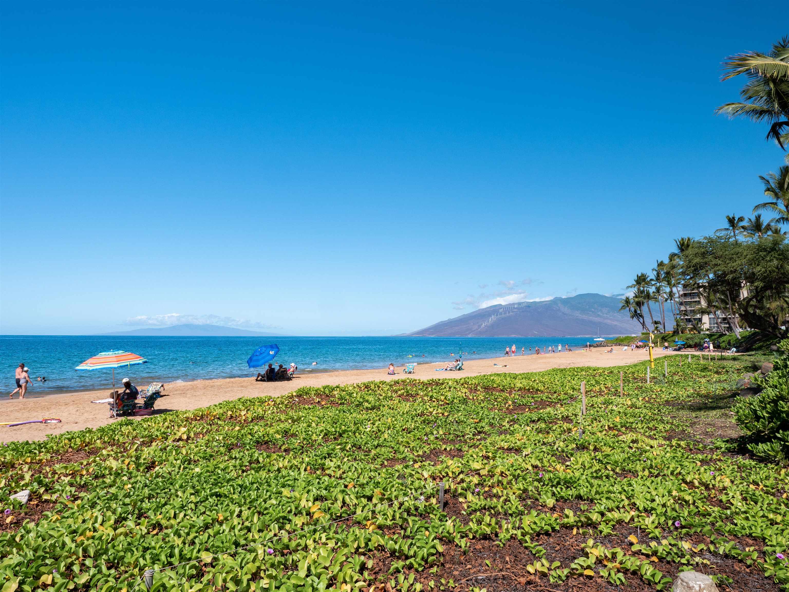 Kihei Kai Nani condo # 164, Kihei, Hawaii - photo 24 of 27