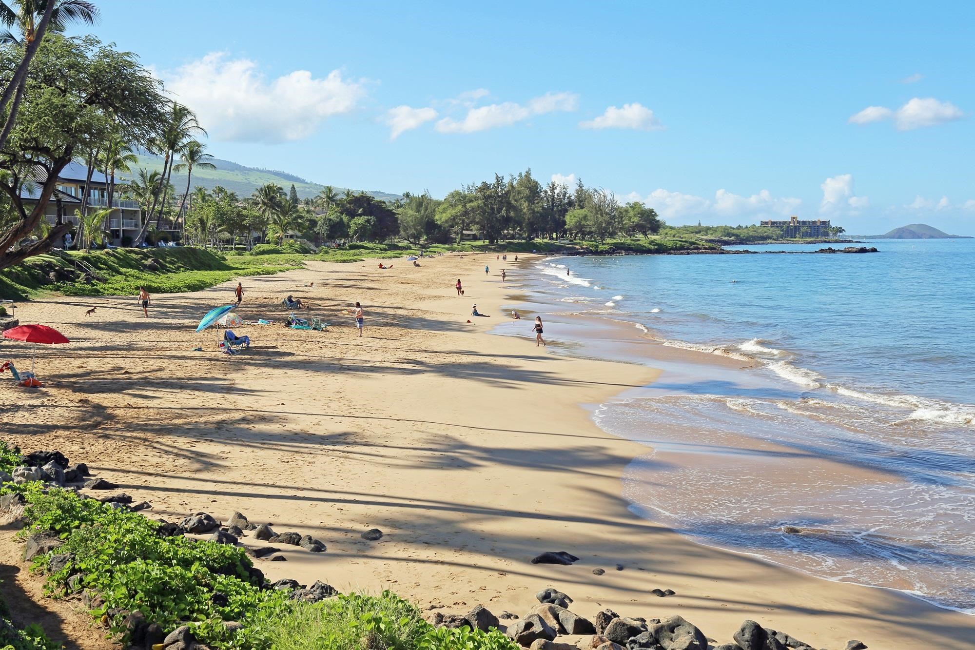 Kihei Kai Nani condo # 207, Kihei, Hawaii - photo 16 of 31
