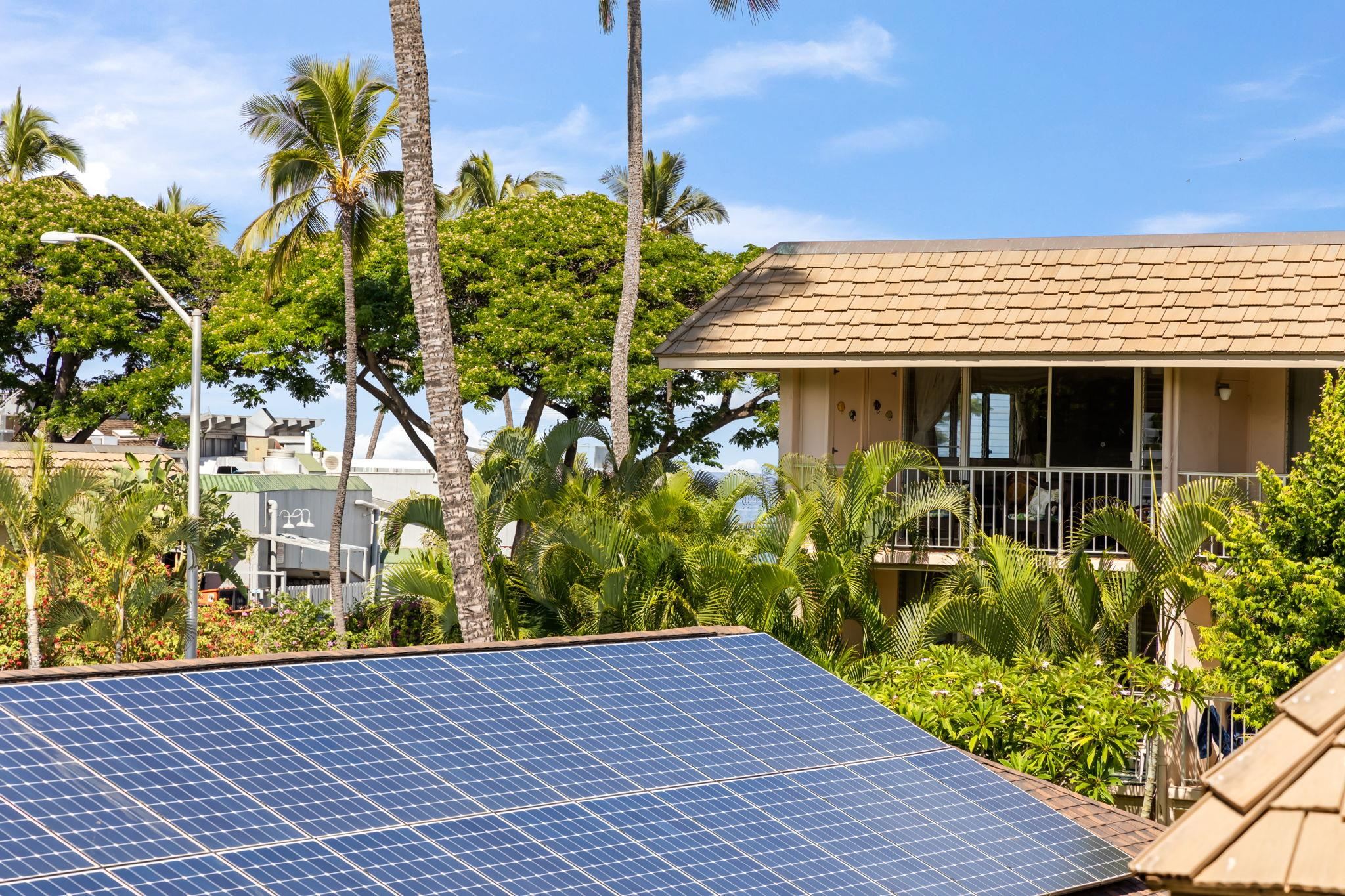 Kihei Kai Nani condo # 250, Kihei, Hawaii - photo 15 of 45