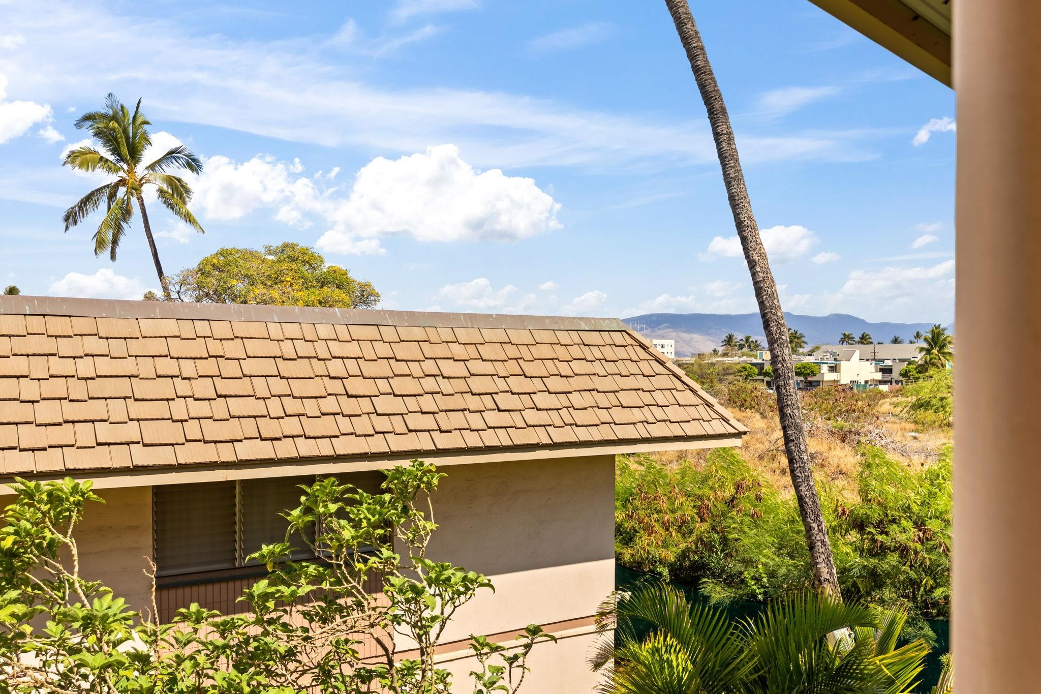 Kihei Kai Nani condo # 250, Kihei, Hawaii - photo 16 of 45