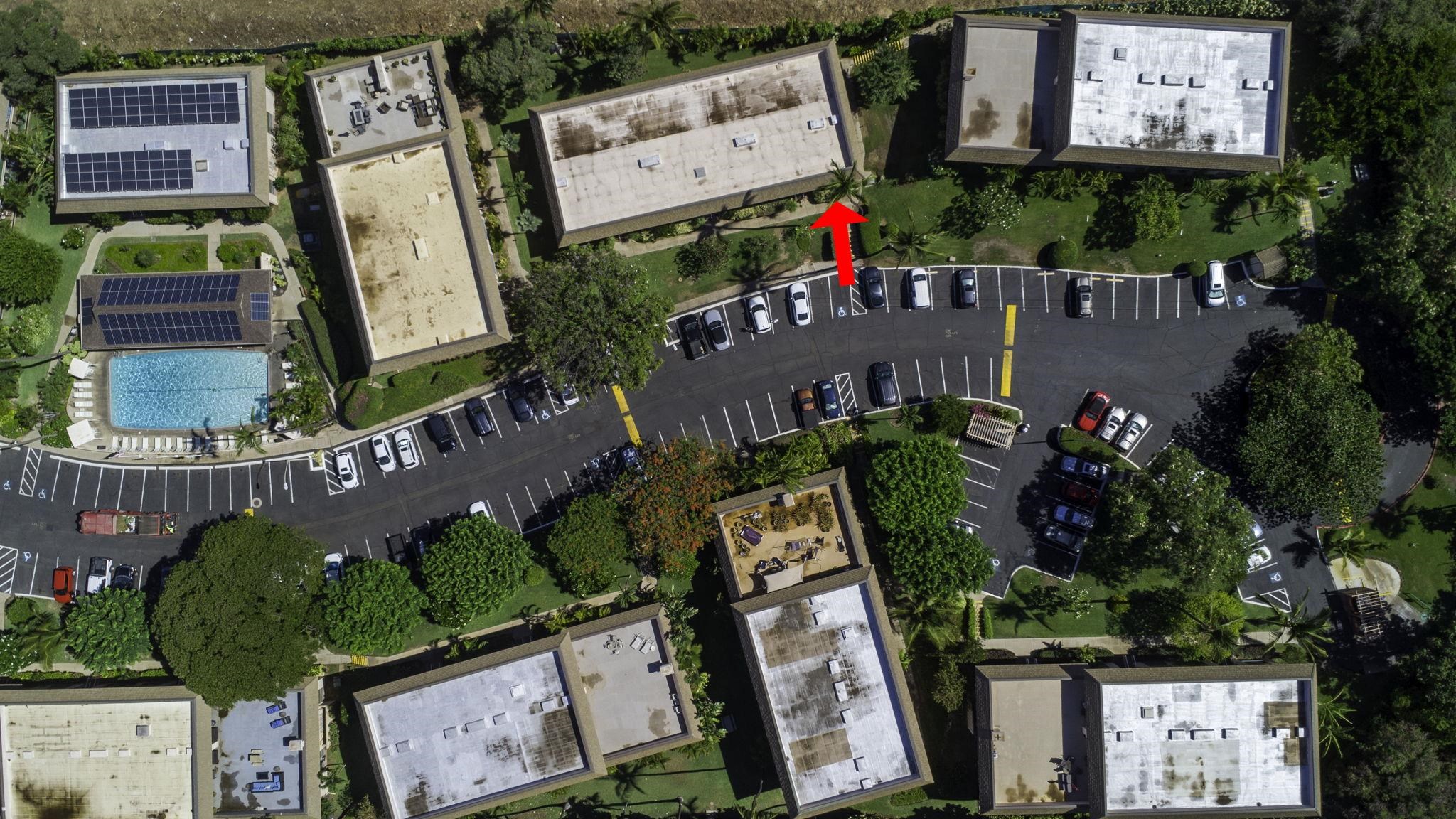 Kihei Kai Nani condo # 257, Kihei, Hawaii - photo 23 of 48