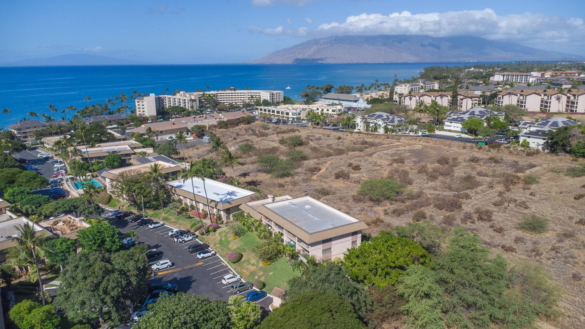Kihei Kai Nani condo # 257, Kihei, Hawaii - photo 35 of 48