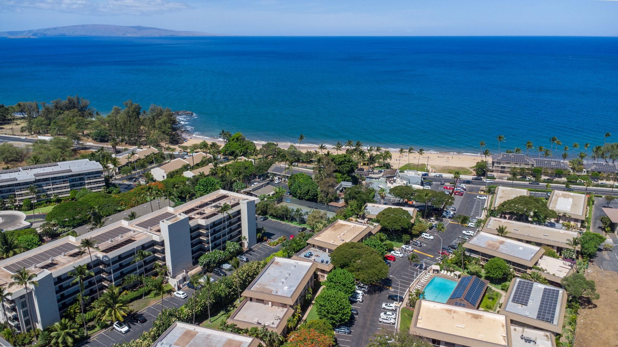 Kihei Kai Nani condo # 257, Kihei, Hawaii - photo 37 of 48