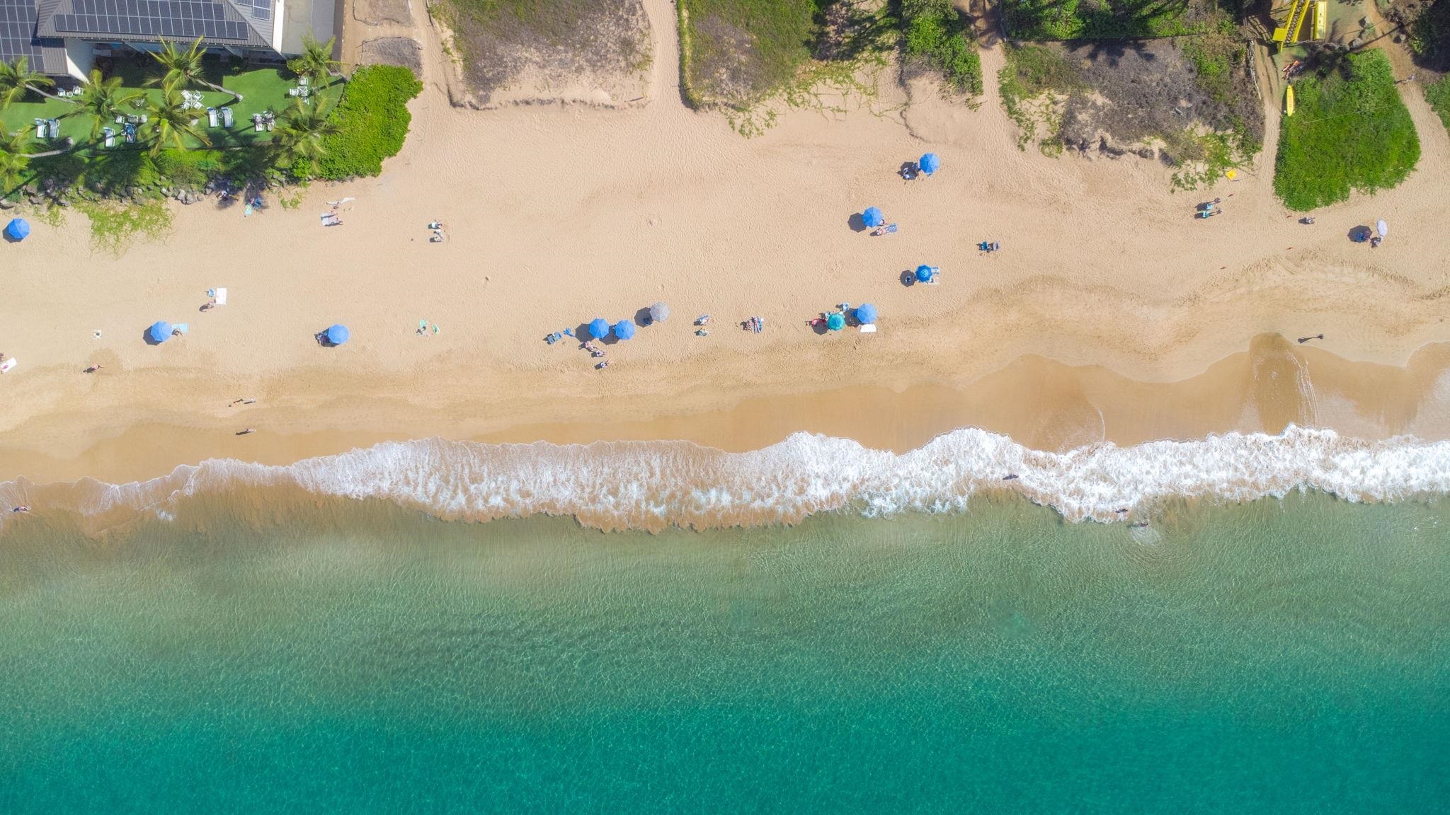 Kihei Kai Nani condo # 261, Kihei, Hawaii - photo 49 of 50