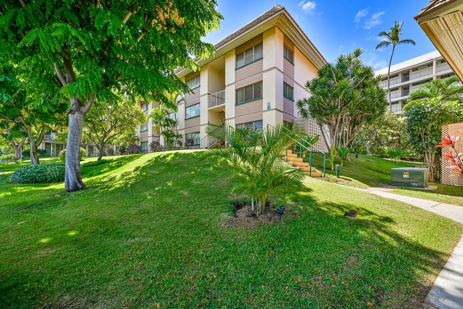 Kihei Kai Nani condo # 340, Kihei, Hawaii - photo 4 of 44