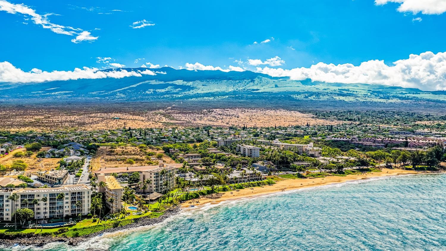 Kihei Kai Nani condo # 340, Kihei, Hawaii - photo 33 of 44