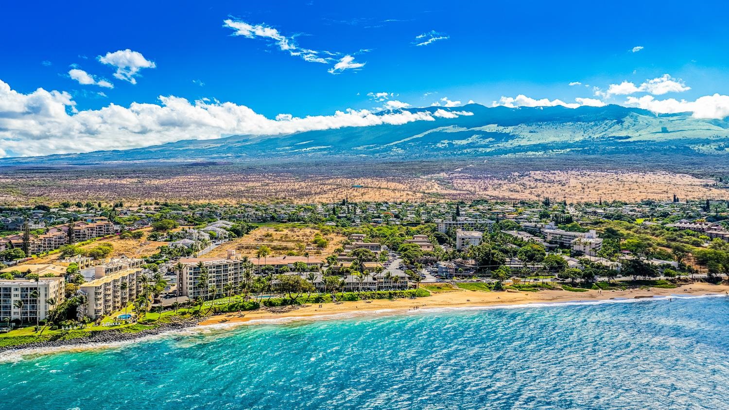 Kihei Kai Nani condo # 340, Kihei, Hawaii - photo 34 of 44