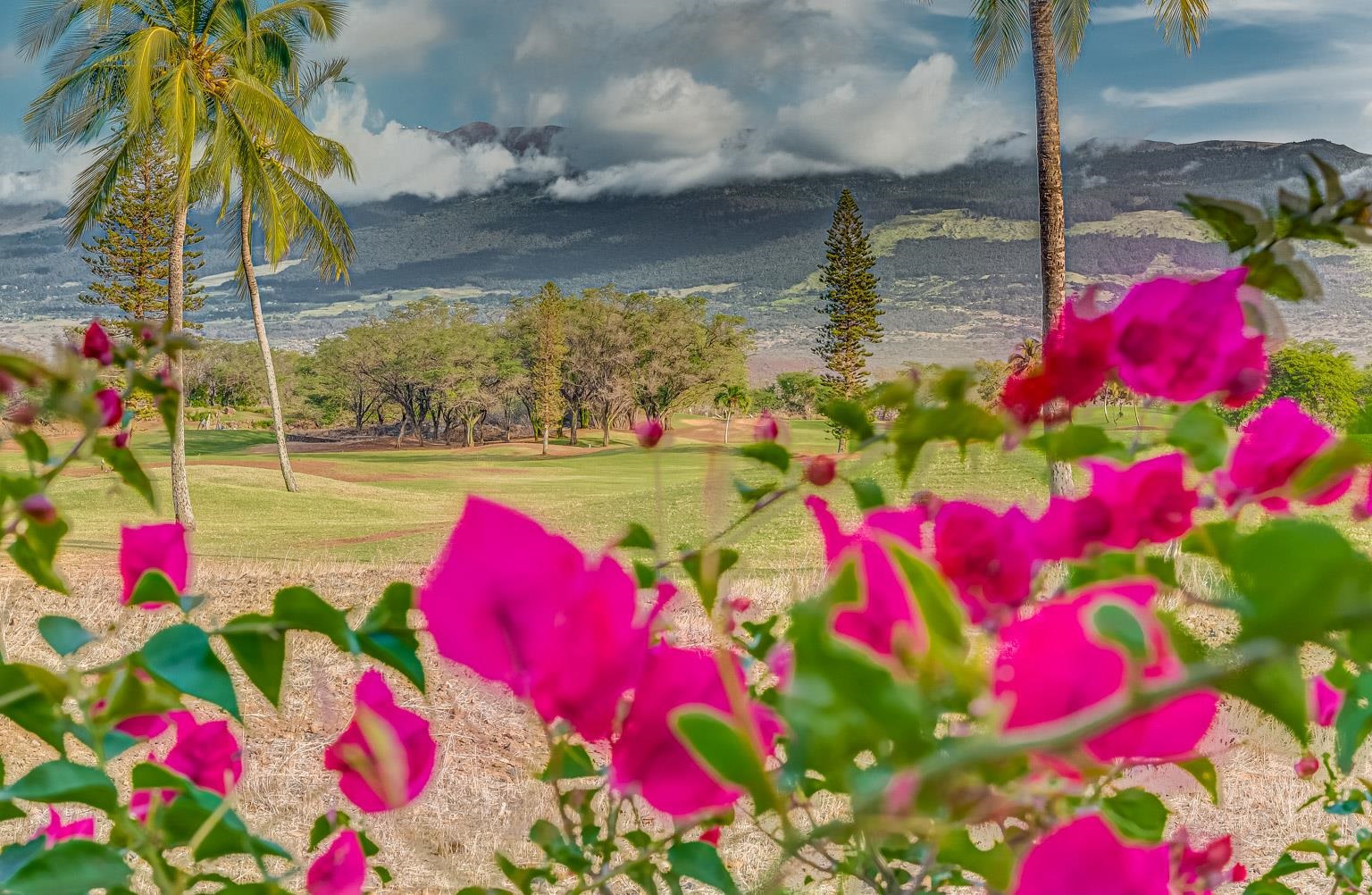 Hokulani Golf Villas condo # 66, Kihei, Hawaii - photo 17 of 30