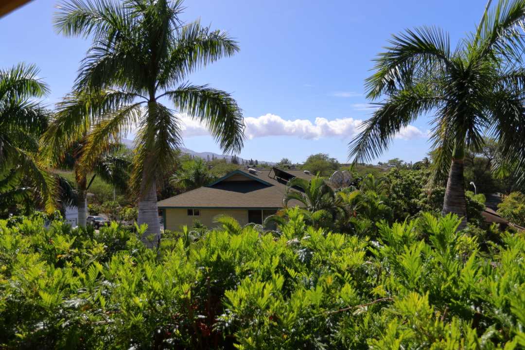 25  Hoolalei Way Keala Hills, Kihei home - photo 29 of 30