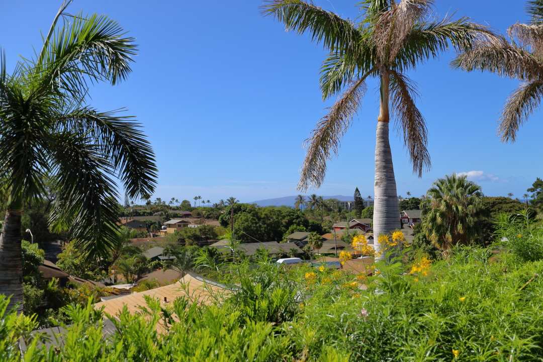 25  Hoolalei Way Keala Hills, Kihei home - photo 30 of 30