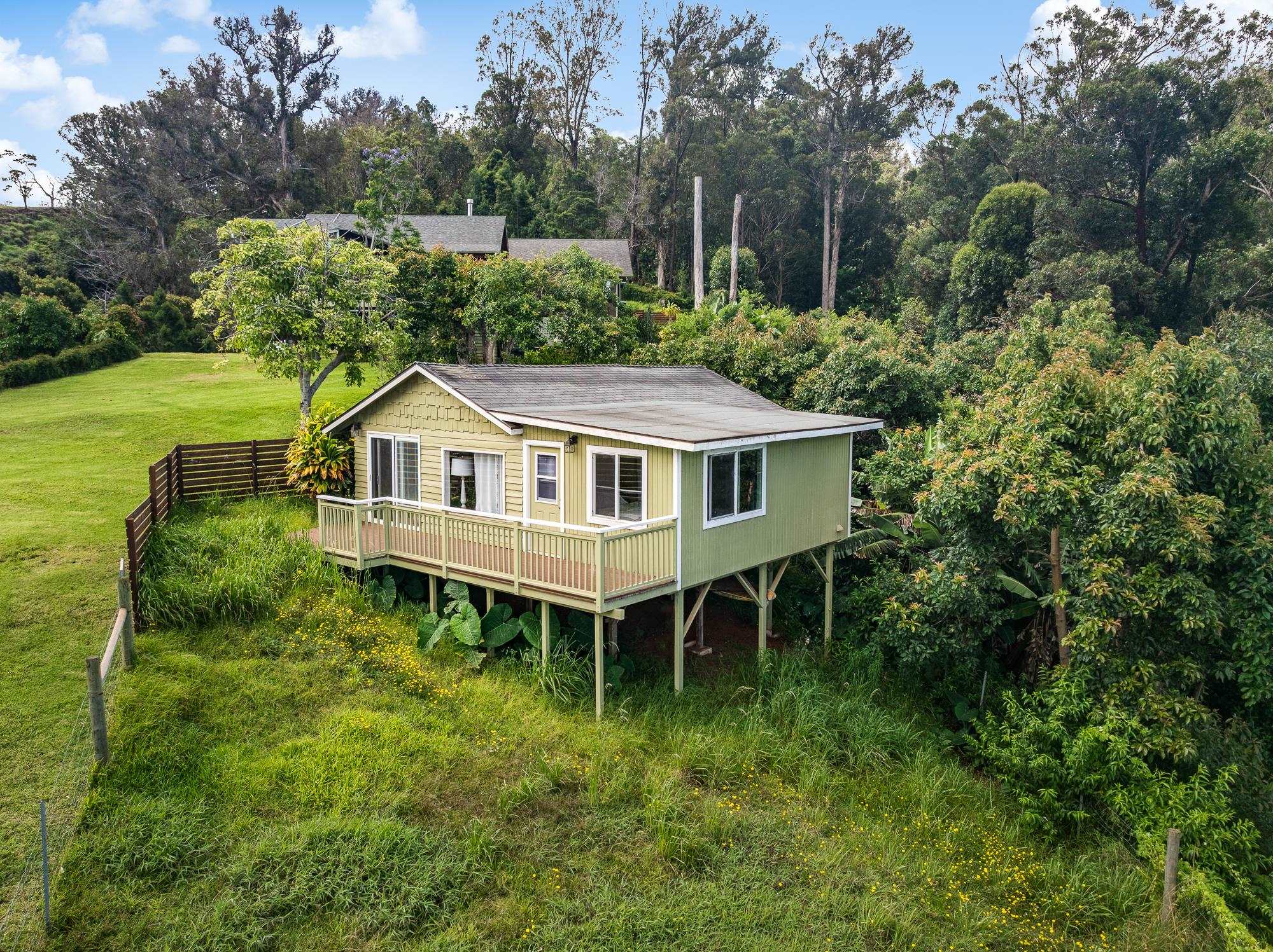 25  Lumahai Pl Olinda, Makawao/Olinda/Haliimaile home - photo 40 of 50