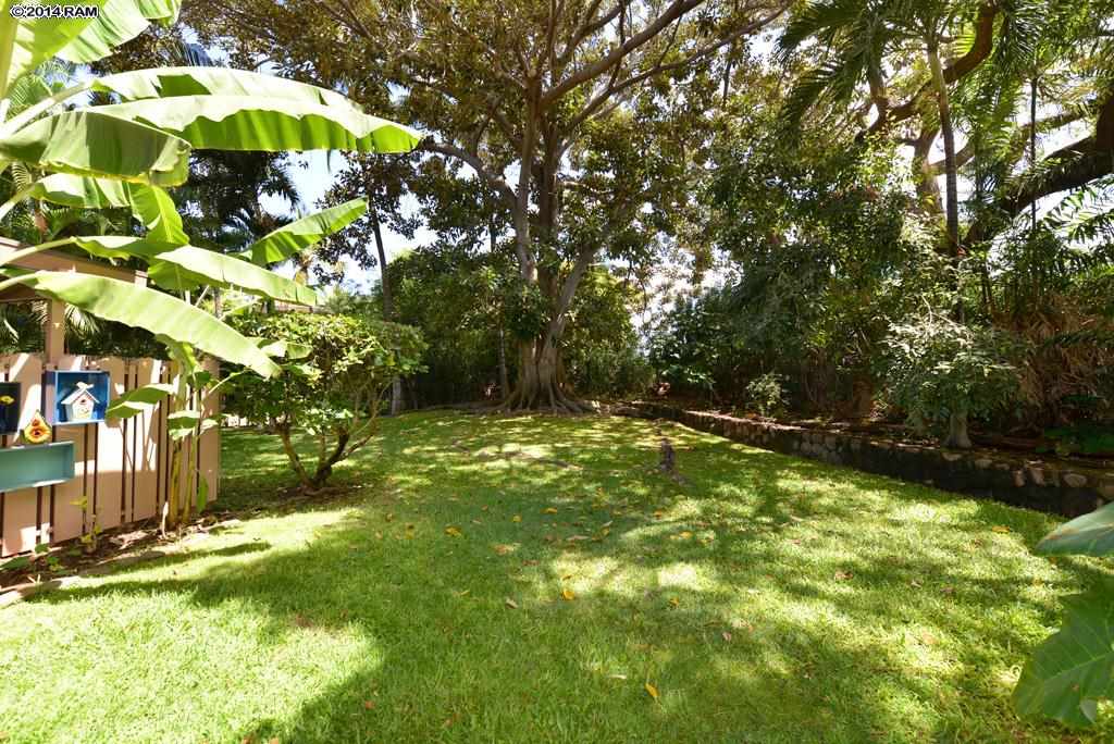 Puamana condo # 25-4, Lahaina, Hawaii - photo 27 of 27